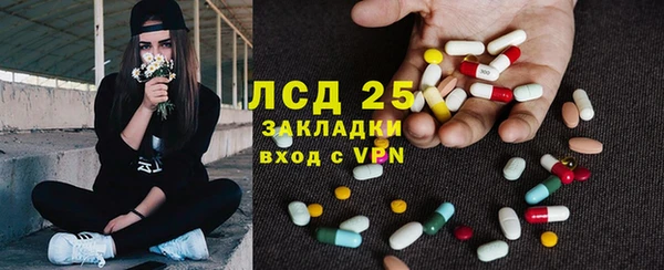 твердый Алзамай