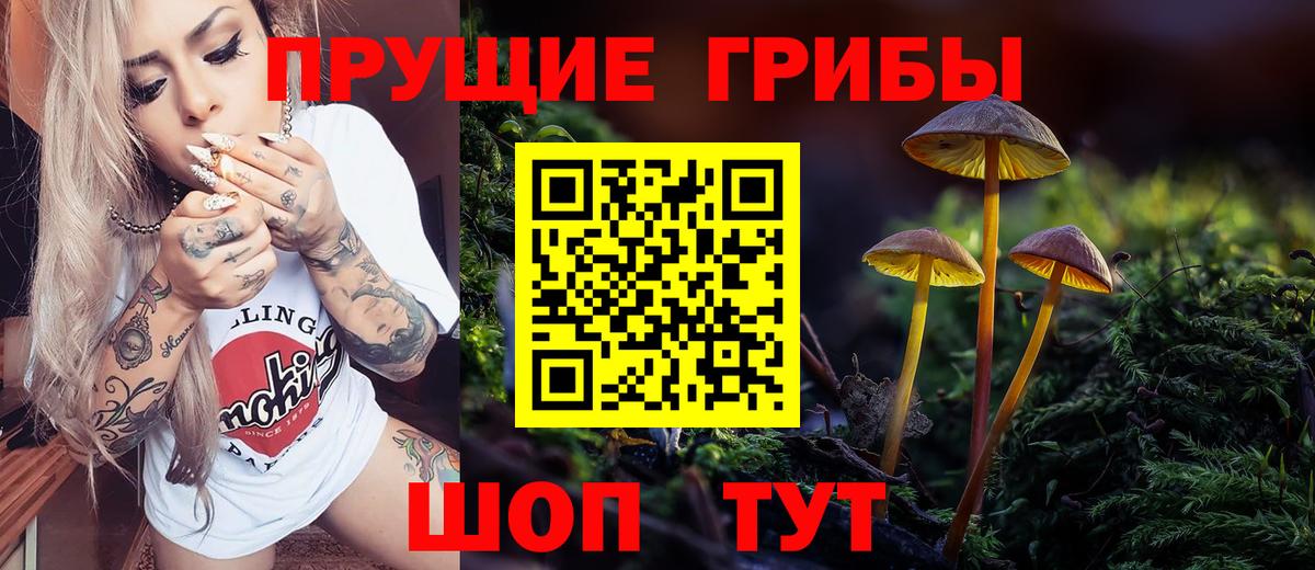 Полевской  Псилоцибиновые грибы GOLDEN TEACHER  Вход с VPN 